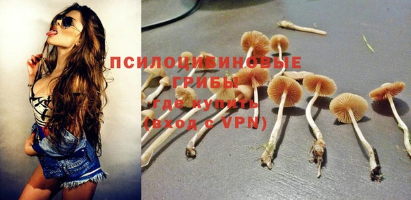 дмт Алексин