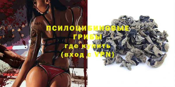дмт Алексин