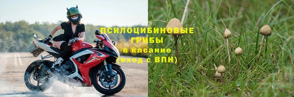 дмт Алексин