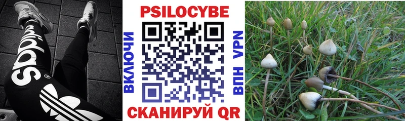 Галлюциногенные грибы ЛСД  Николаевск 