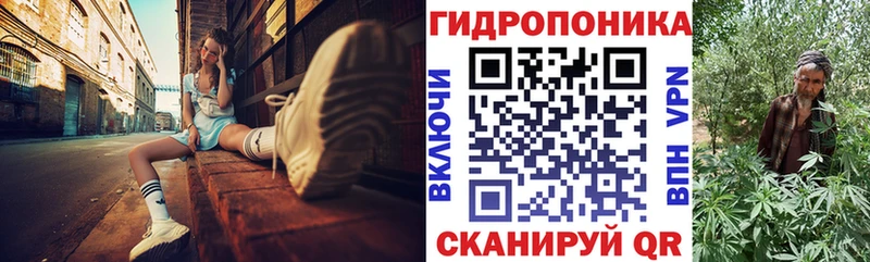дарнет шоп  Николаевск  Канабис VHQ 